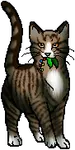 Leafpool :) Leafpool :)