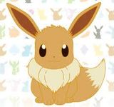Eevee Eevee