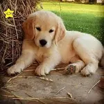 Treasure Treasure