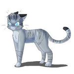 Jayfeather! he's soo adorable with his stick and he rocks! just cause he is blind doesn't mean he cant be awesome! Jayfeather! he's soo adorable with his stick and he rocks! just cause he is blind doesn't mean he cant be awesome!