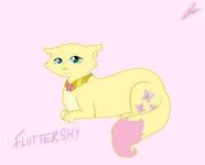 Fluttershy cat form Fluttershy cat form