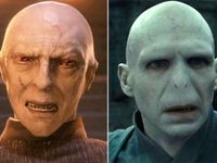 voldemort voldemort