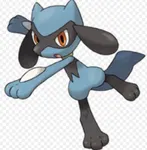 Riolu Riolu