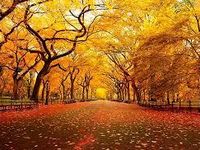 Autumn Autumn