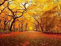 Autumn Autumn