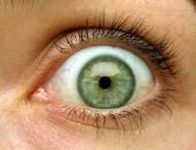 Green Green