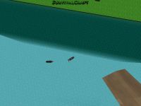 Fish (any type) Fish (any type)