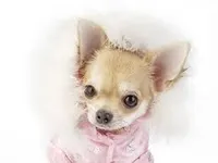 sadie8111