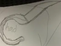 Mr.Chad