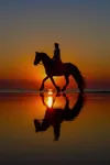 EnglishRiding101