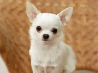 Elory