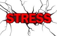 The Stress Page The Stress Page