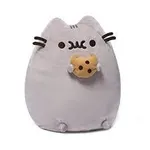 Pusheen Food Pusheen Food