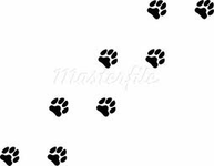Puppy page Puppy page