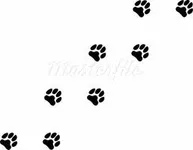 Puppy page