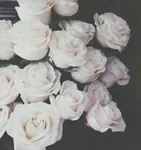 Cute Quotes Cute Quotes