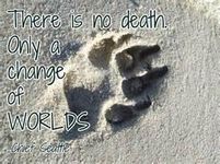 Rest in Peace, Little Pets. Rest in Peace, Little Pets.