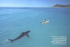 Worst fears Worst fears