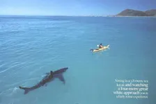 Worst fears Worst fears