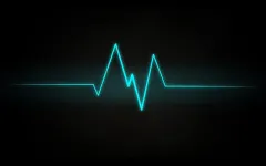 GUESS THE SONG GUESS THE SONG