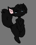 Warrior Cats- Night Clan Warrior Cats- Night Clan