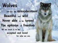 Calling all Wolf Lovers! Calling all Wolf Lovers!