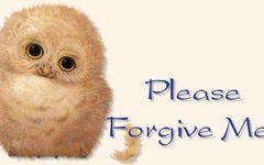 The Sorry Page The Sorry Page