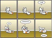 Cat Moments Cat Moments