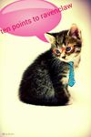 Kitten Lovers! Kitten Lovers!