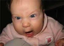 Random laughs for everyone! Random laughs for everyone!