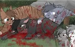 Warrior cats memorial Warrior cats memorial