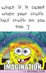 Funny Realistic Qutoes Funny Realistic Qutoes