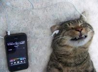 Song Writers: Unite!! Song Writers: Unite!!