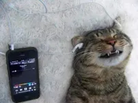 Song Writers: Unite!! Song Writers: Unite!!