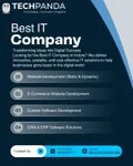 Best IT Company in Indore (6)