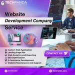 Website Development Company in Indore