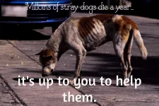Save our Strays! (S.O.S) Save our Strays! (S.O.S)