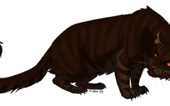 Debate about Warrior cats. Debate about Warrior cats.