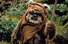 Forest need to stop being cut! Forest need to stop being cut!