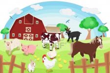 What Is Your Favorite Farm Animal? What Is Your Favorite Farm Animal?