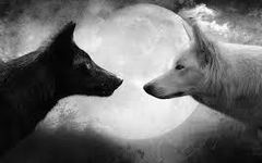 Black or white? Black or white?