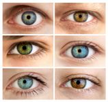 What eye colour do you have? What eye colour do you have?