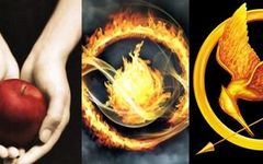 huger game/ divergent/ or twilight? huger game/ divergent/ or twilight?