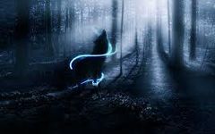 What wolf are u? What wolf are u?