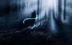 What wolf are u? What wolf are u?