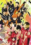 Karasuno or Nekoma?? Karasuno or Nekoma??