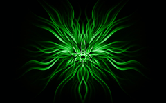 which colour: black or green? which colour: black or green?