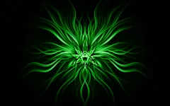which colour: black or green?