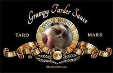 Favorite Grumpy Cat quote/picture. Favorite Grumpy Cat quote/picture.