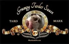 Favorite Grumpy Cat quote/picture.